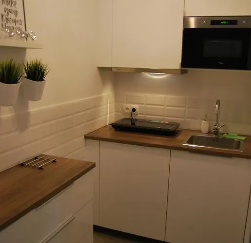 Magnolia Centrum Studio-free Parking *